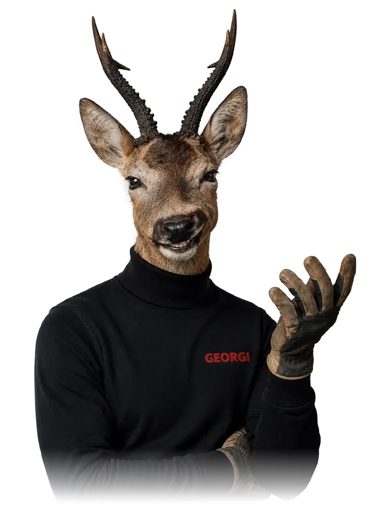 Karriere-Bock